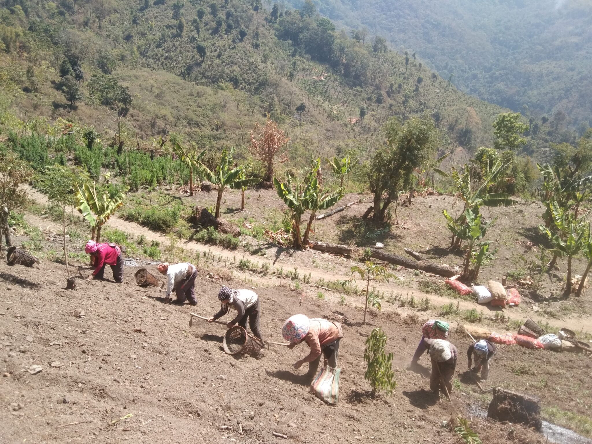 Community Development